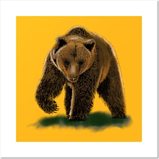 Bear Posters and Art